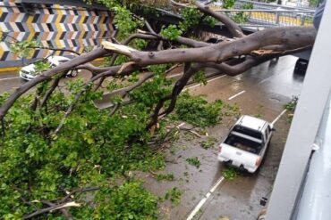 Caos en Venezuela por lluvias