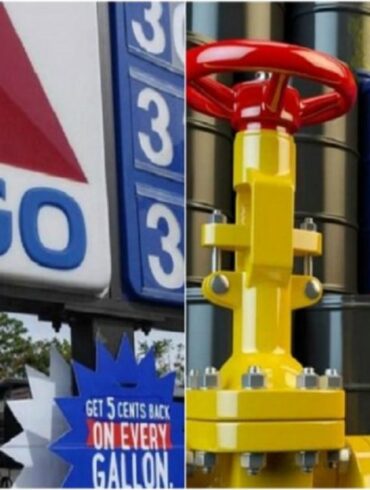 Cigo reporta utilidades