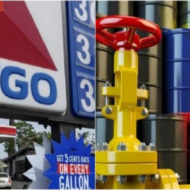 Cigo reporta utilidades