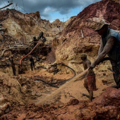 Maduro pide combatir tala indiscriminada