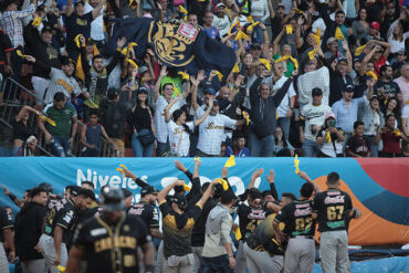 Leones a punto de coronarse