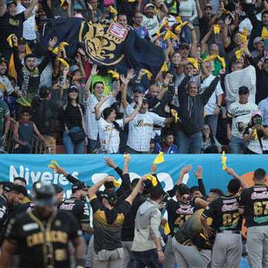 Leones a punto de coronarse