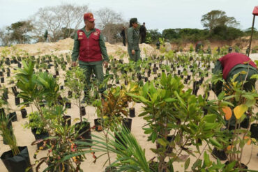 FAN inicia reforestación