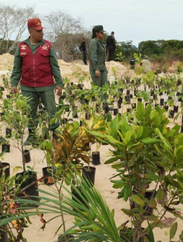 FAN inicia reforestación