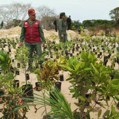 FAN inicia reforestación