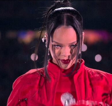 Memes por actuación de Rihanna