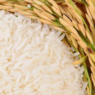 Fedeagro reclama dinero