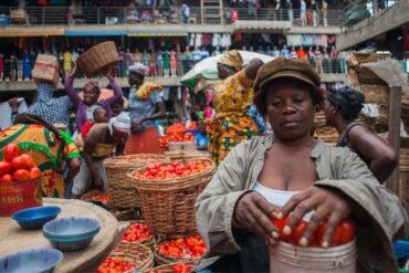 La FAO y la comida en Africa