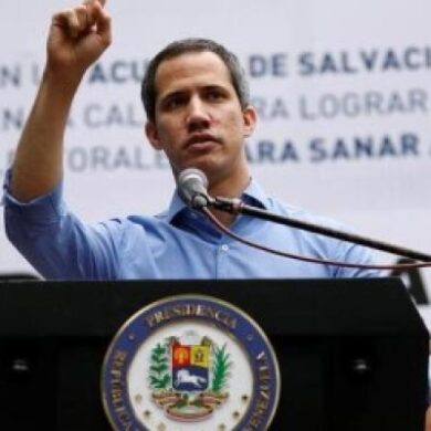 Guaidó monómeros
