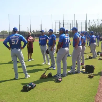 Venezuela en el Clásico Mundial