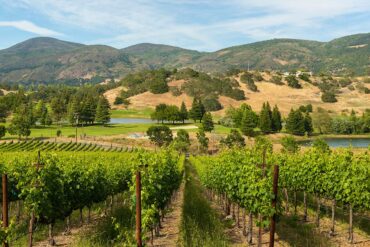napa valley sillicon valley bank