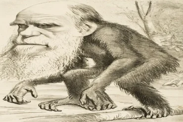darwinismo carlin