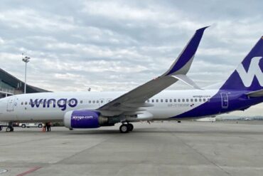 Wingo