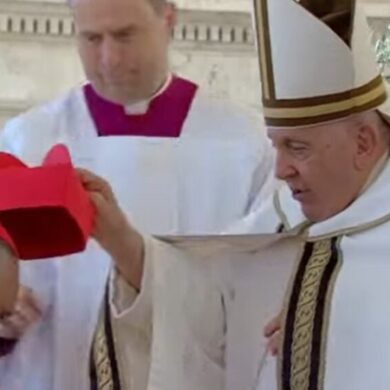 diego padrón cardenal papa francisco