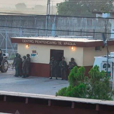 Tocorón detenidos