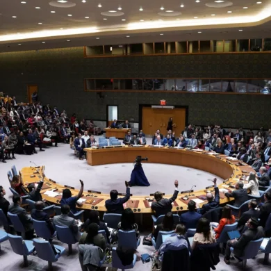 CONSEJO DE SEGURIDAD