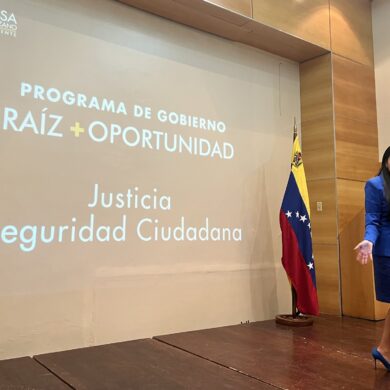 DELSA PROGRAMA