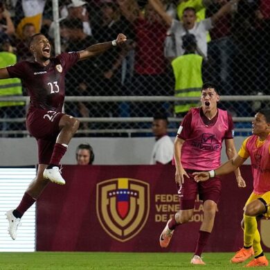 VINOTINTO