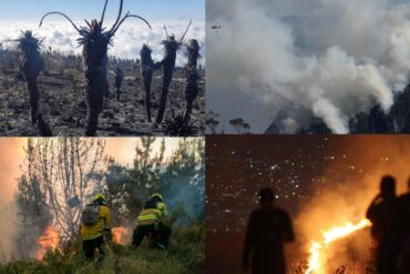 INCENDIOS