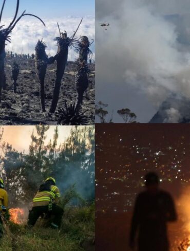INCENDIOS