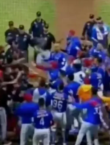 tiburones cardenales