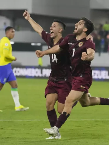 vinotinto