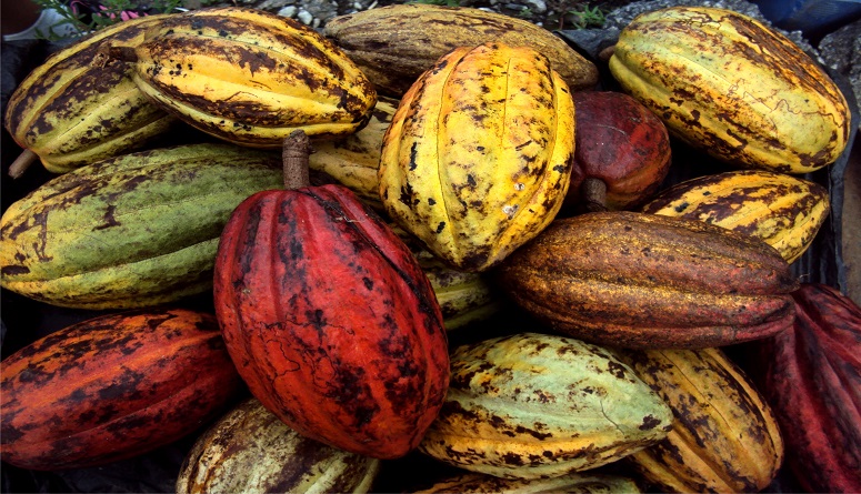 CACAO