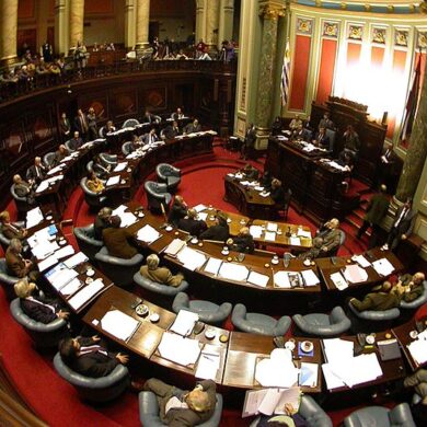 senadores