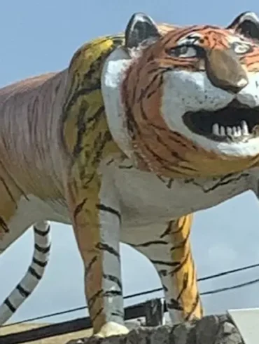 el ñigre