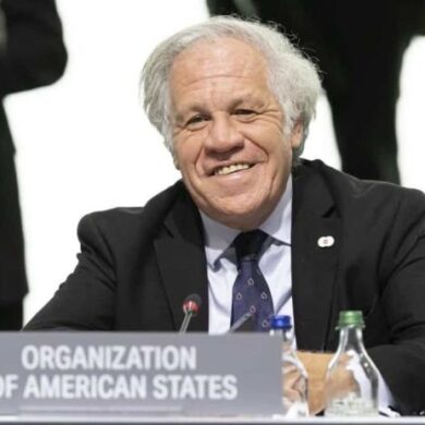 LUIS ALMAGRO