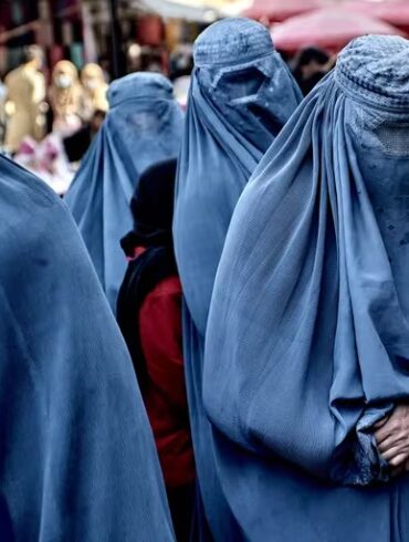 TALIBANES