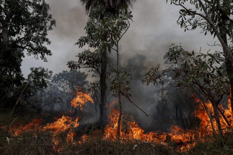 INCENDIOS