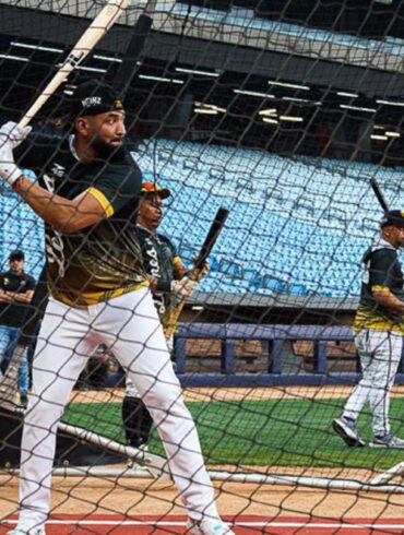 LEONES