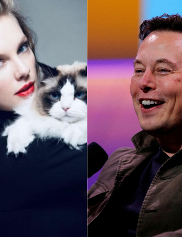 ELON
