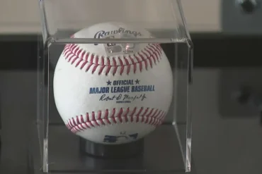 PELOTA