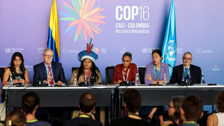 COP16